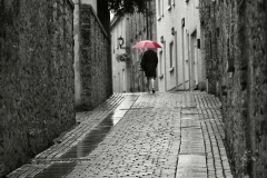 Irish Red Umbrella, Donna D. Lovely