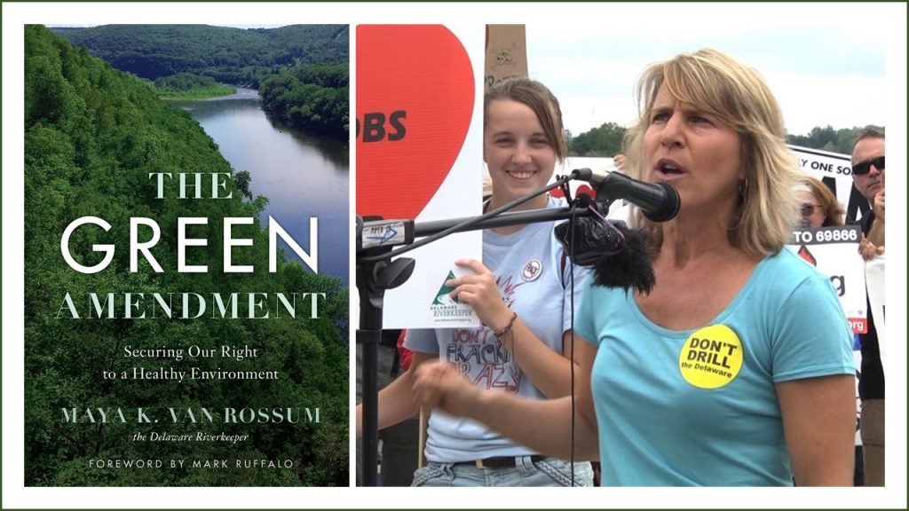 Here’s the Story: The Green Amendment at Acme Screening Room