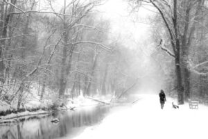 A black and white photograph of a snow scene with a creek/tow path along the Delaware River on the left with bare trees. On the right a figure with a dog is walking along the tow path on a snow covered path with trees. The path recedes into the background.